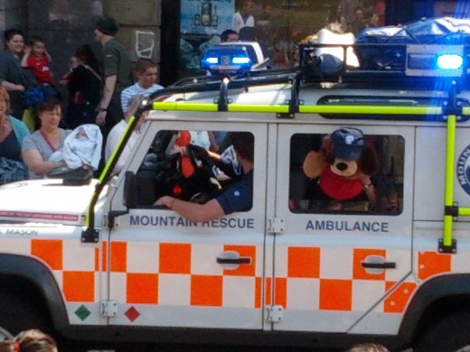 Bury Lions Carnival Parade in Pictures